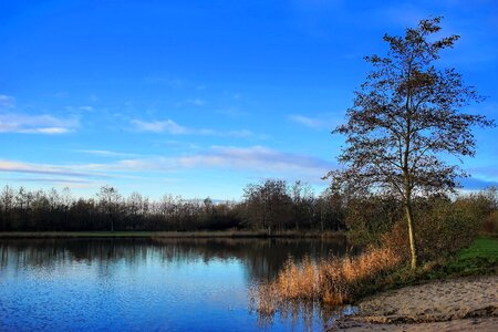 Morning blue sky mood