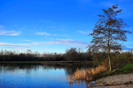 Morning blue sky mood photo