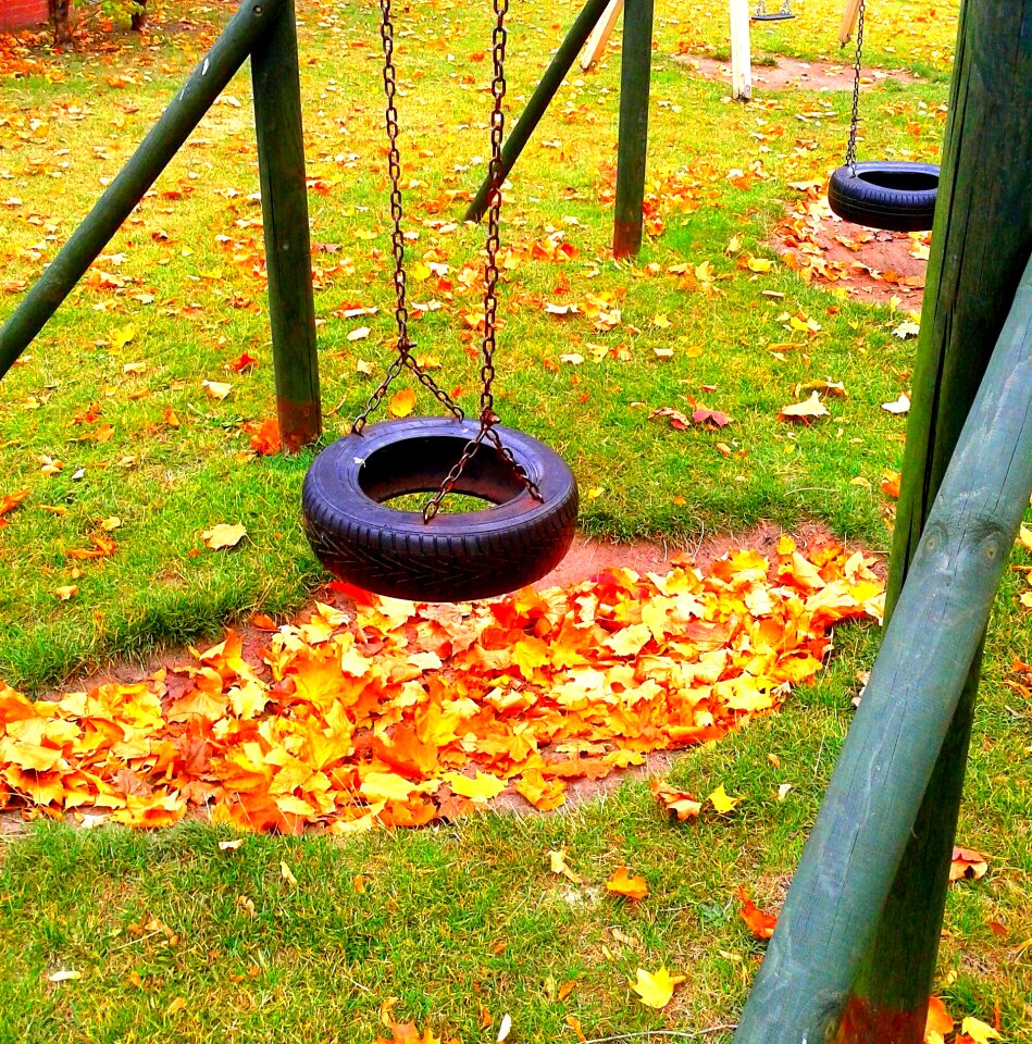 Nature playground swing