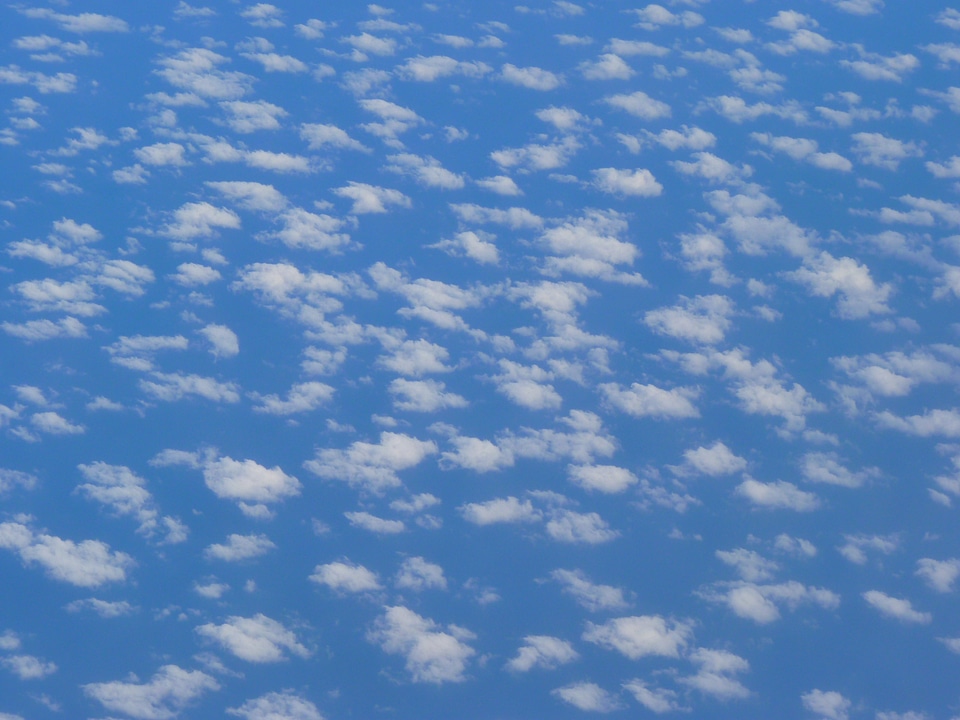Wing flying sky