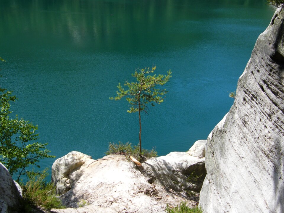 Water lake needles