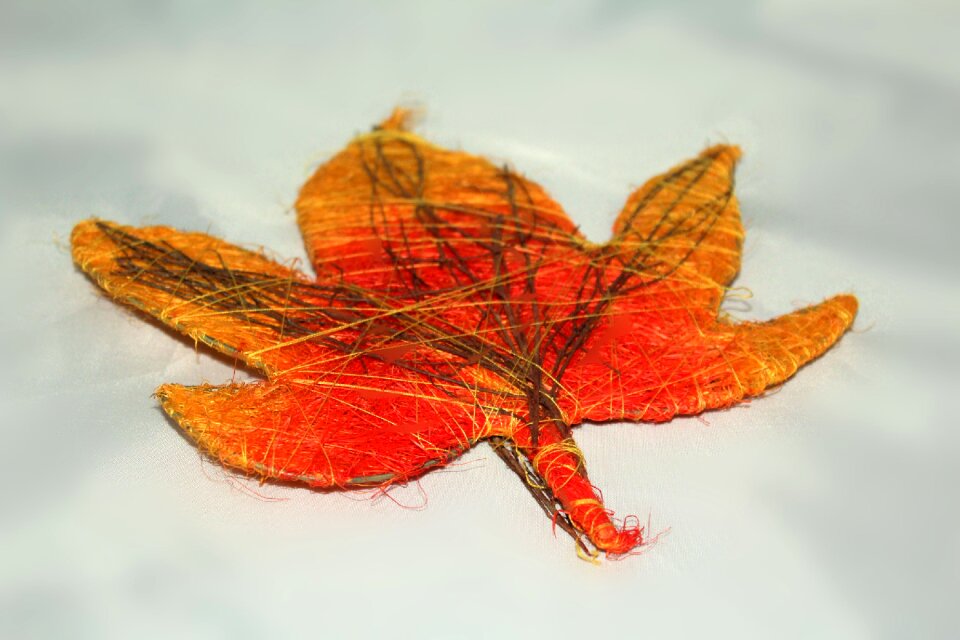 Leaves colors of autumn color