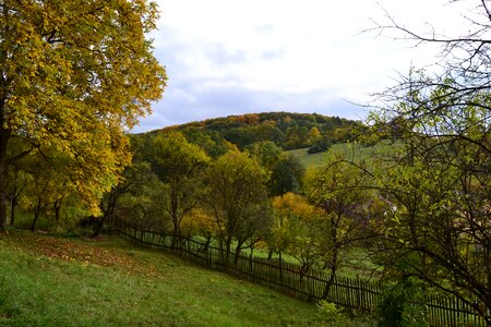 Colors hills meadows