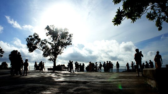 Silhouette sky tree photo