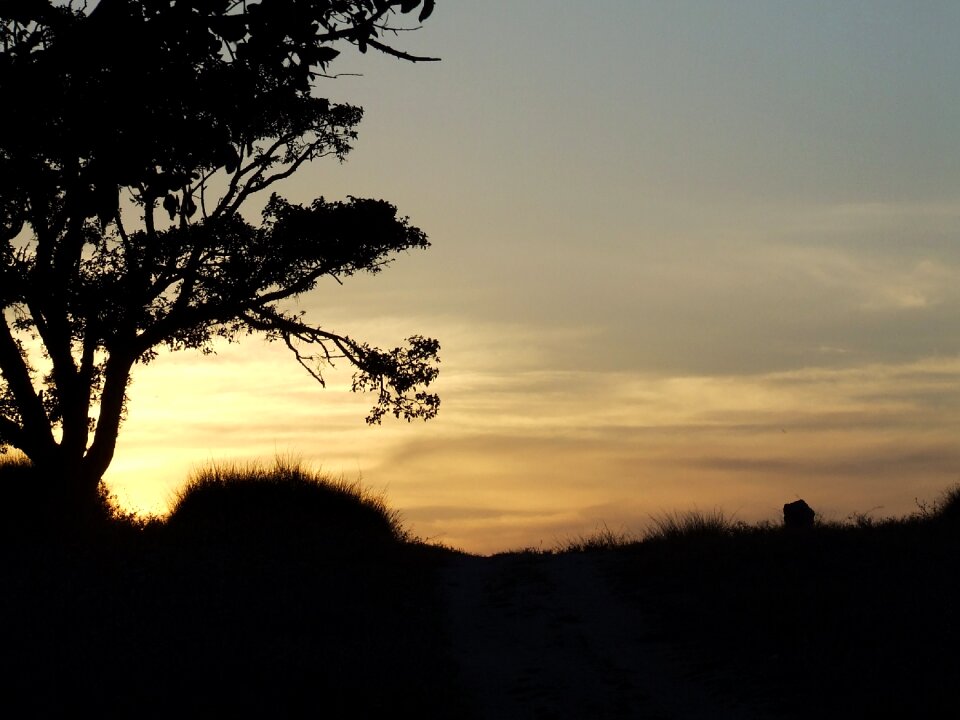 Nature in the evening country