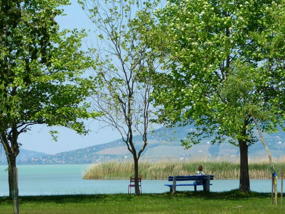 Lake sunlight nature