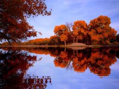 Hu 杨美景 populus reflection picturesque scenery
