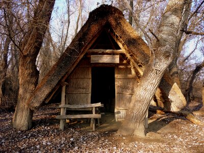 Mood wood forest lake photo