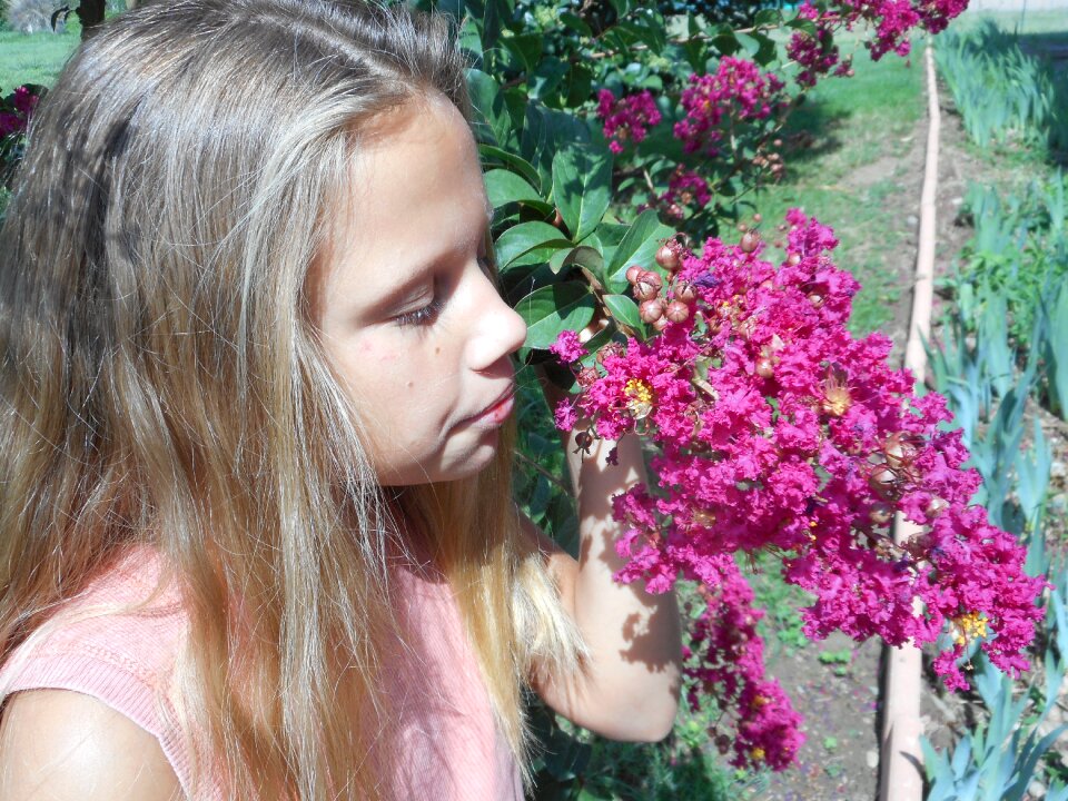 Nature only flowers