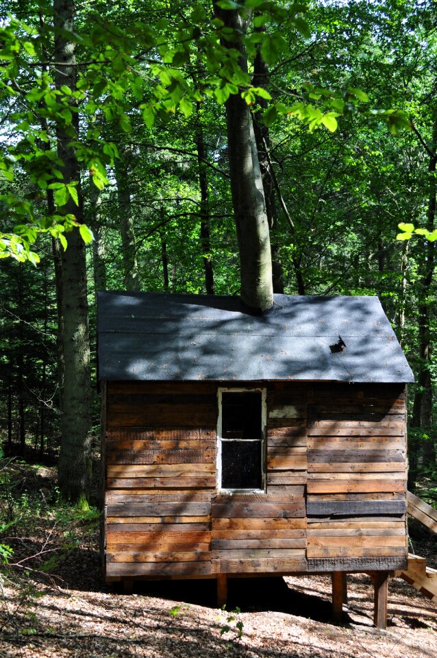 Wooden house skovsnogen artspace