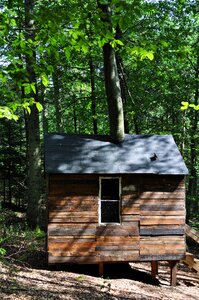 Wooden house skovsnogen artspace