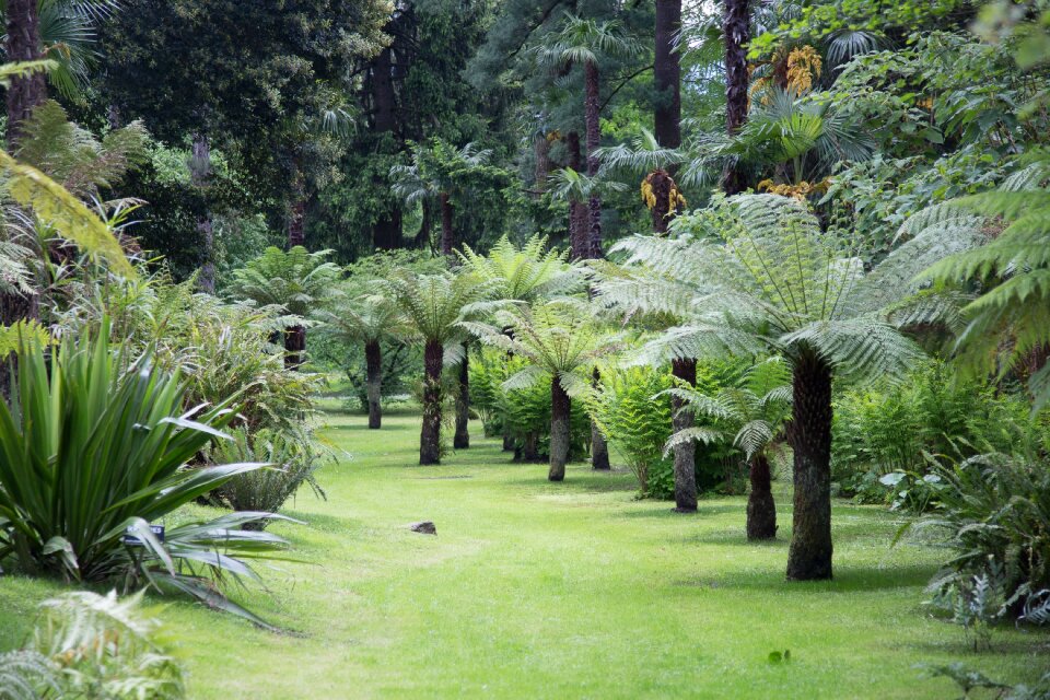 Lago maggiore villa taranto verbania