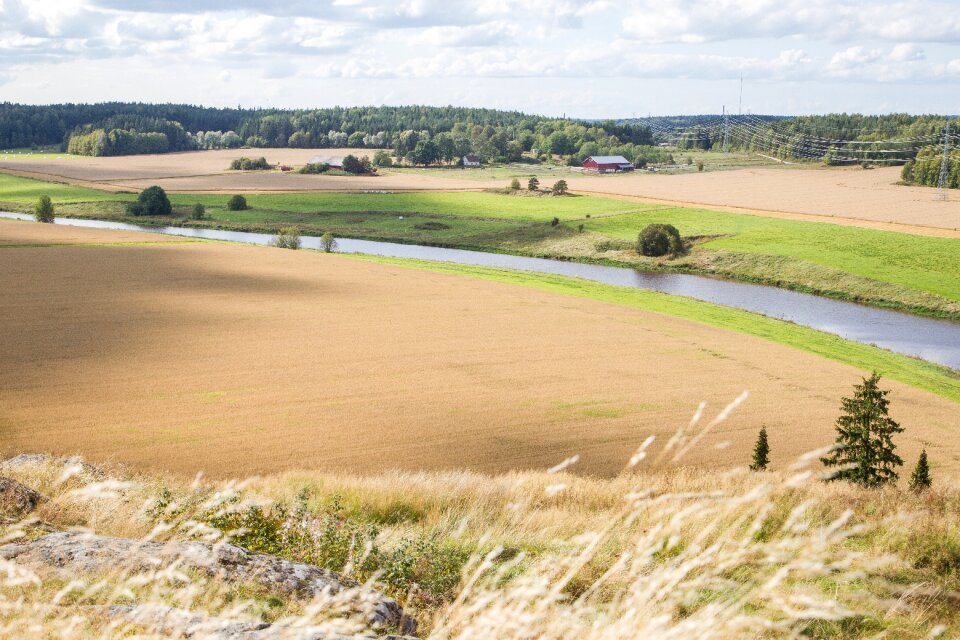 Finnish summer nature