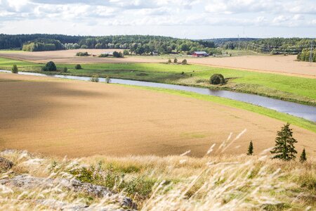 Finnish summer nature photo