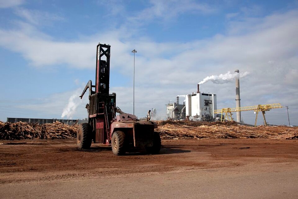 Company heavy equipment industry