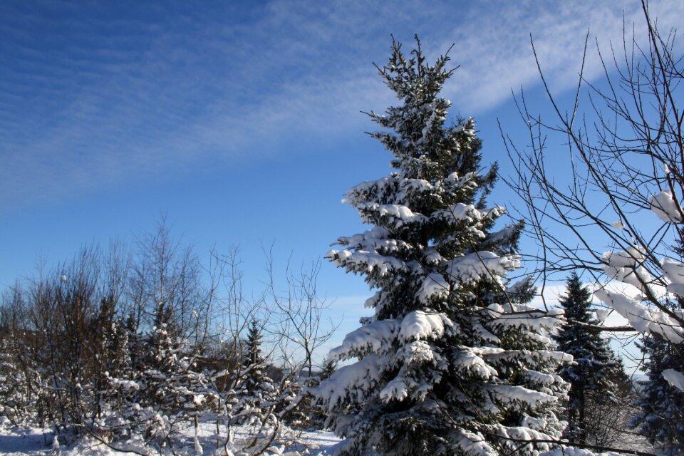 Nature sky pleasure