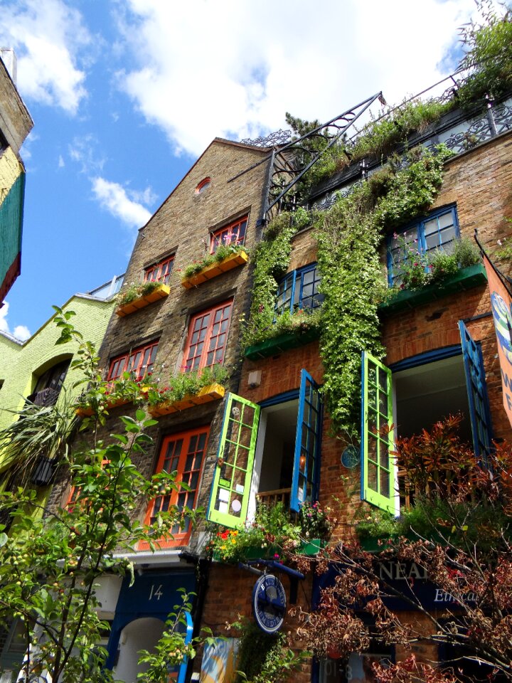 City flowers artfully