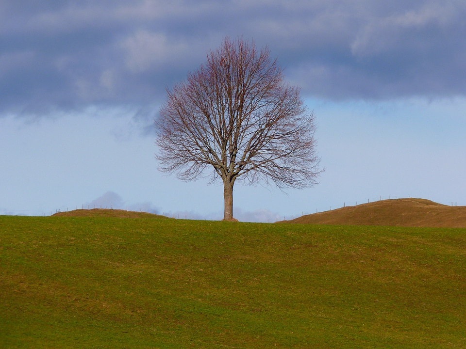 Meadow sky still life