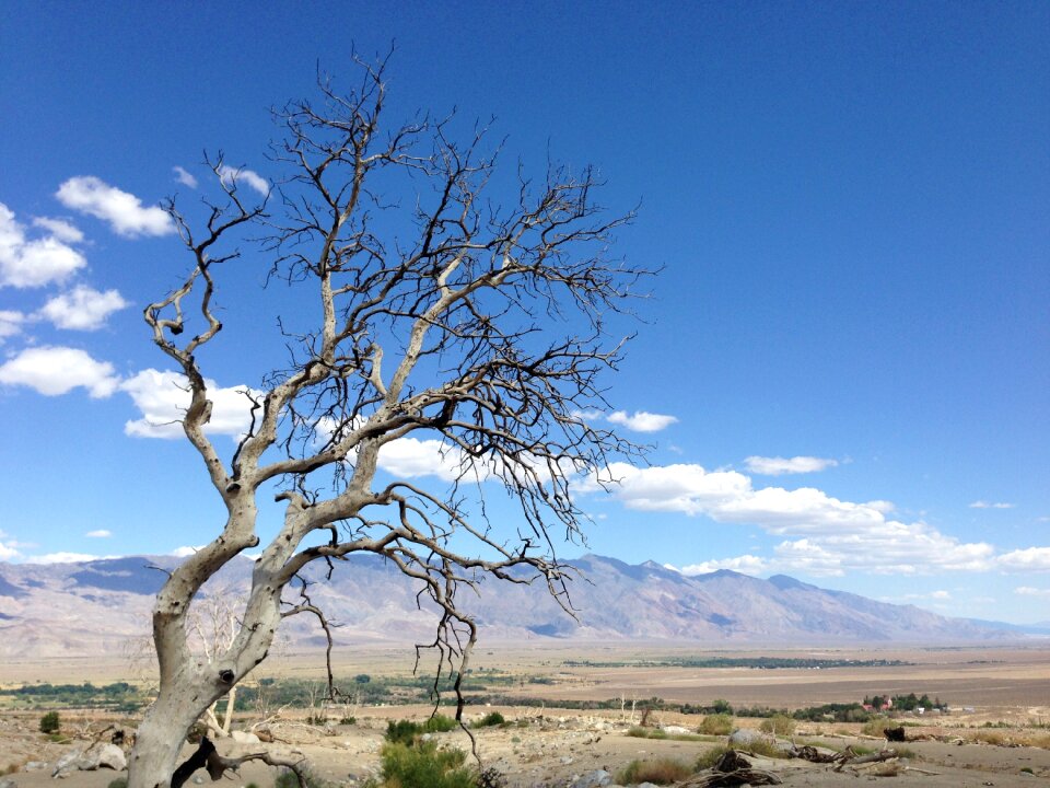 Nature landscape drought