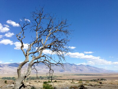 Nature landscape drought