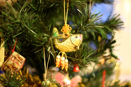 Fish christmas decoration xmas photo