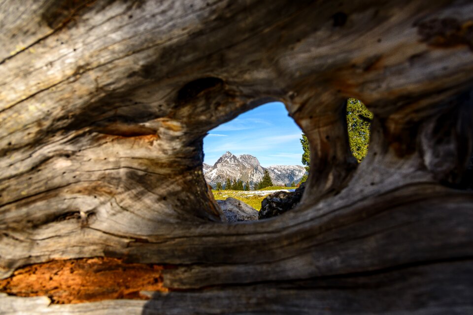 Hike log by looking