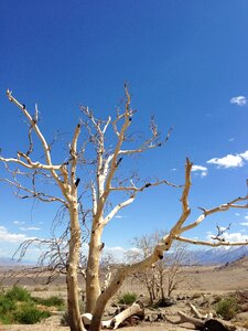 Nature landscape drought