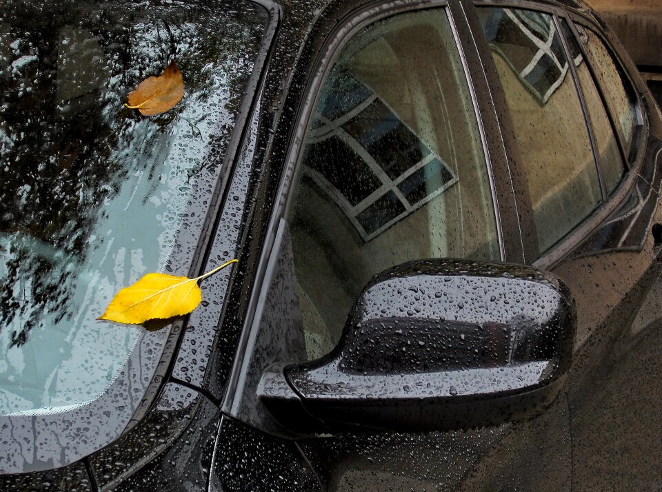 Rain drops of water season