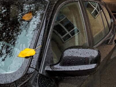 Rain drops of water season photo