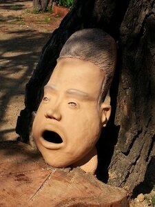Doll heads people
