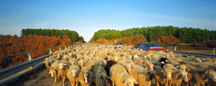 Farmhouse ship road