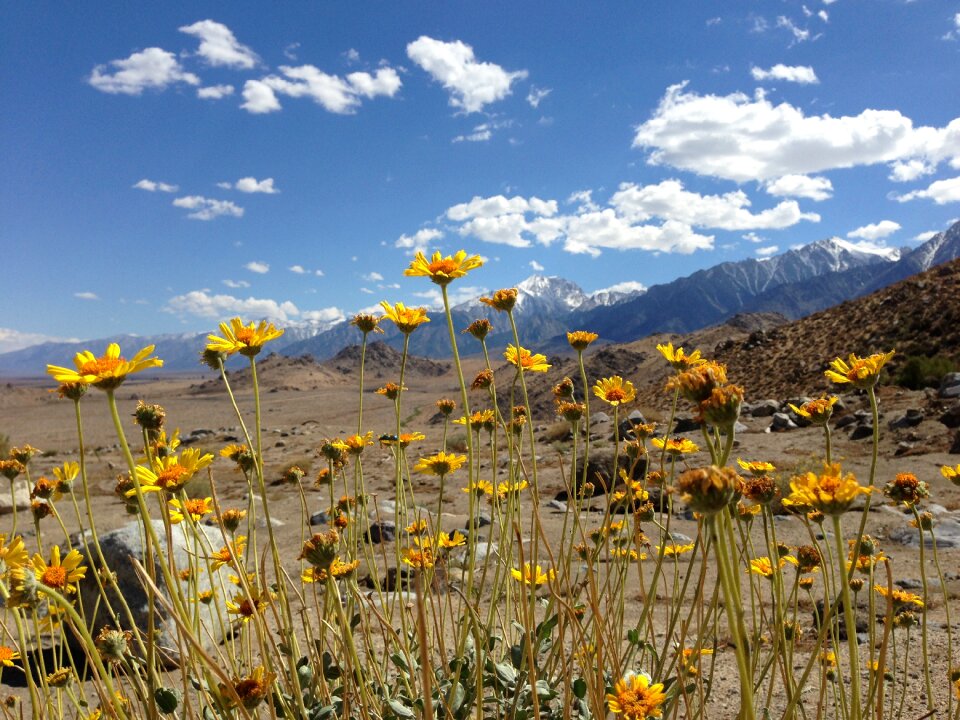 Nature landscape drought