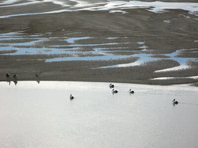 Wildlife landscape morning
