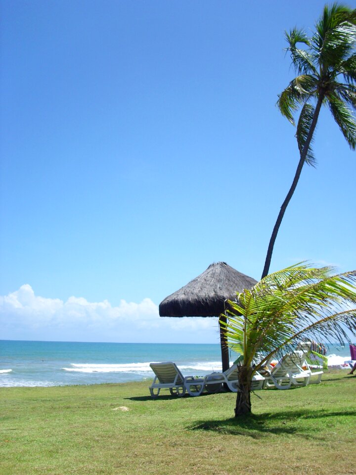 Sea nature