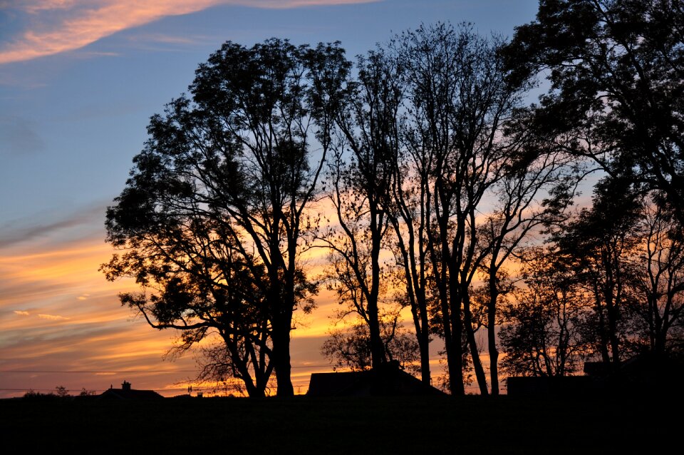 Sunset trees twilight photo