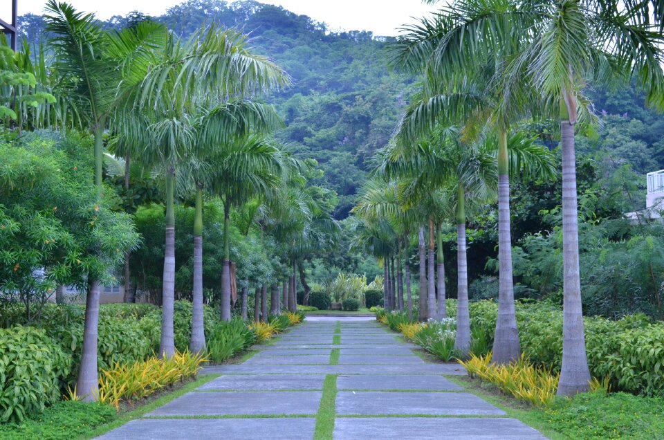Park road park walk