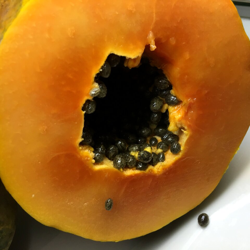 Tropical fruit fresh