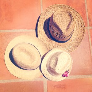 Family summer straw