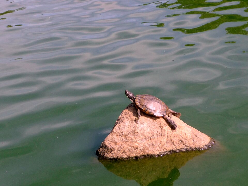 Water landscape day s