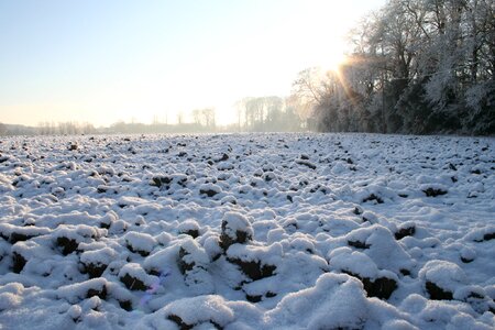 Ice winter landscape photo