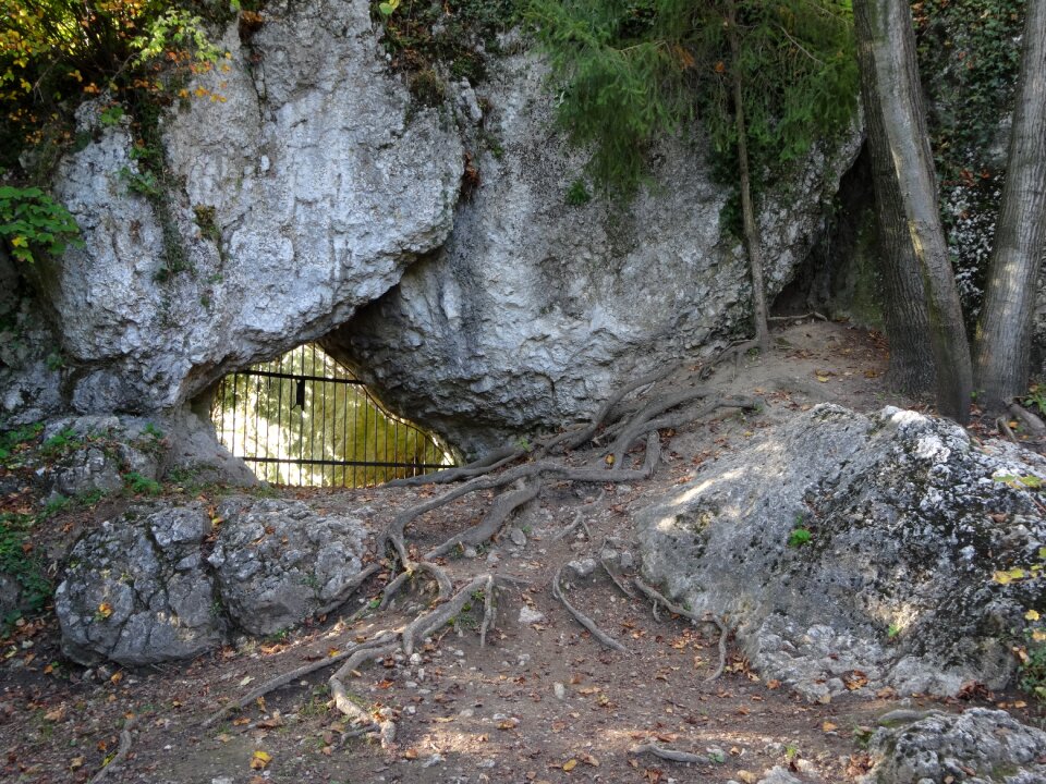 The roots of the poland stone