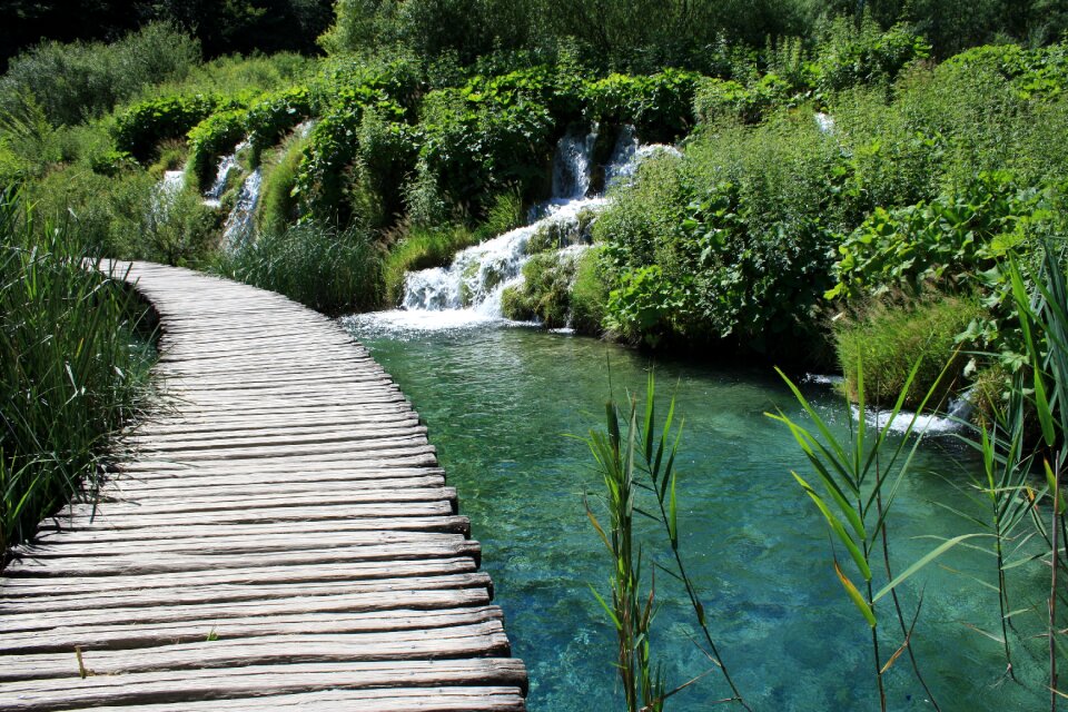 Nature bridge jetty