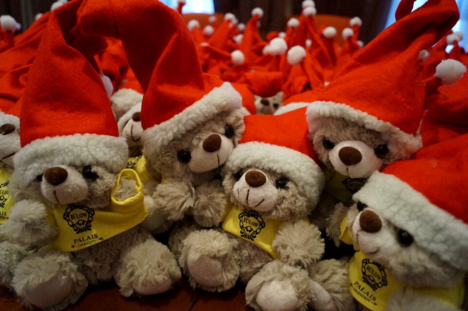 Christmas celebration teddy christmas jewelry