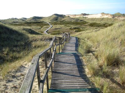 Dune sand boardwalk