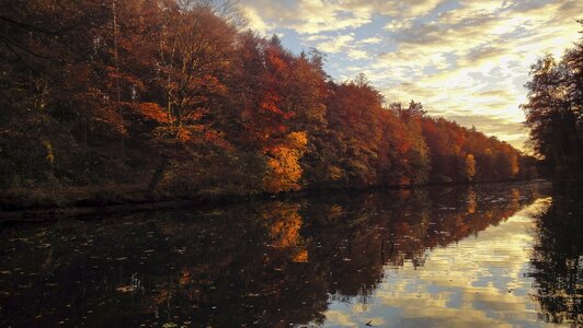 Color landscape autumn forest