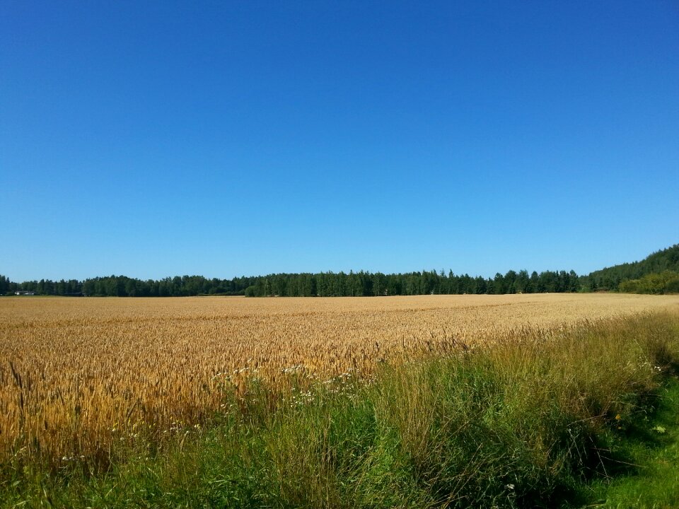 Agriculture countryside harvest