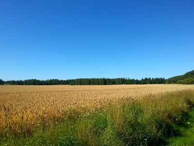 Agriculture countryside harvest