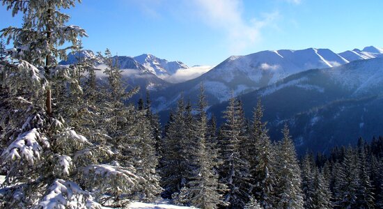 Landscape winter the national park photo