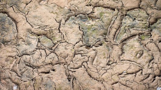 Ground drought cracks photo