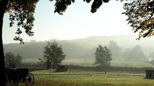 Mood autumn morning sunlight